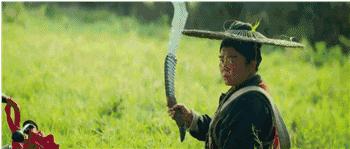 王源穷吗,王源千