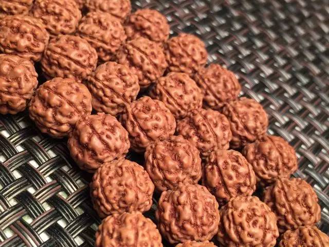 金刚圈子里混三年，这些品种都够呛能认全！