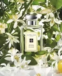 适合秋冬的森系香水推荐,春夏大牌香水推荐哪款