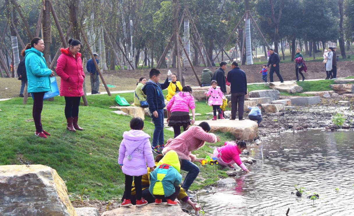 临港为什么那么多公园,宜宾临港公园
