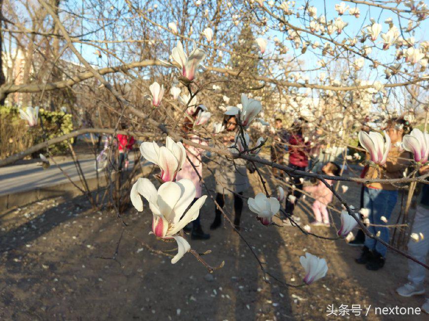 htcuultra拍照,htcultra音质