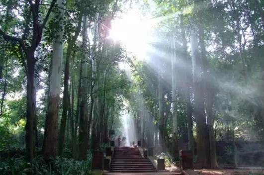 成都春季爬山踏青赏花一日游,成都周边踏青二日游自驾游