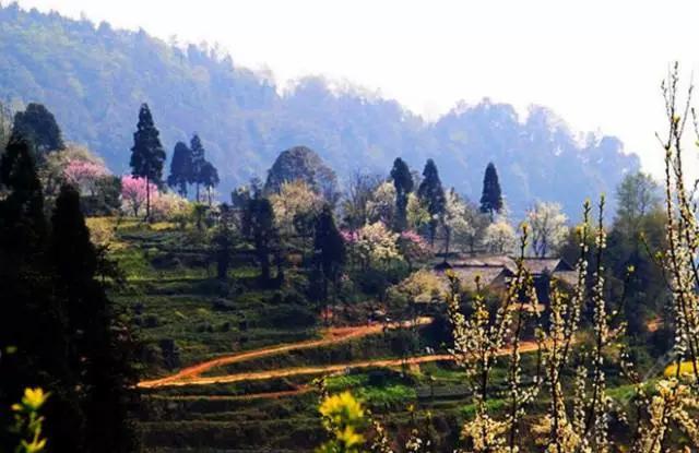 成都春季爬山踏青赏花一日游,成都周边踏青二日游自驾游