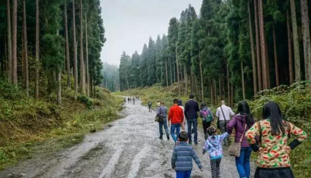 成都春季爬山踏青赏花一日游,成都周边踏青二日游自驾游
