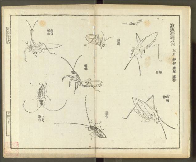 齐白石与芥子园画谱之缘,齐白石画作大全集