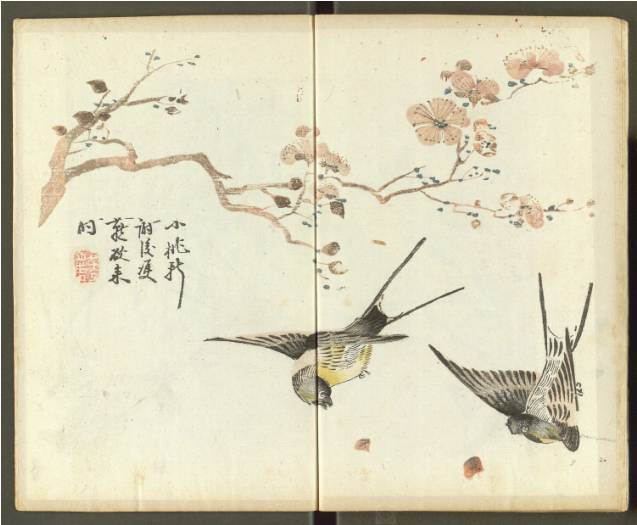 齐白石与芥子园画谱之缘,齐白石画作大全集