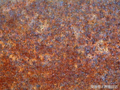 你知道吗？铁锈居然是养兰花的神器！