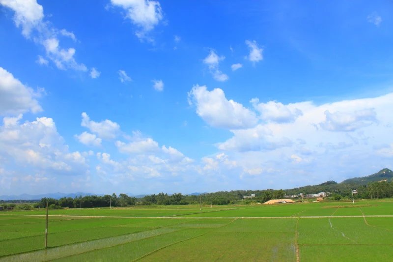 650d佳能2018年还能干嘛,2013佳能650d