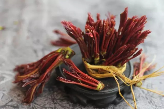 野菜鲜香嫩绿,野菜春天来