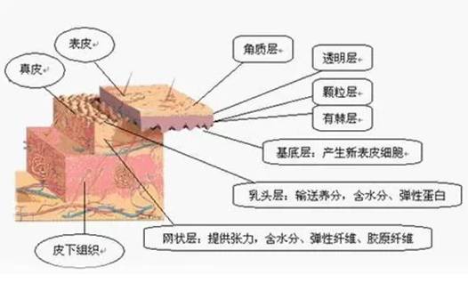 madam护肤品,madam护肤品好吗