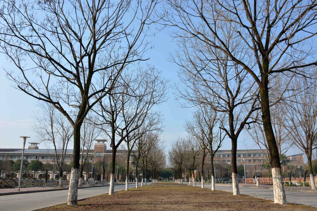 福师大版诗词大会｜长安辞赋星雨谣，仓旗才俊巧成章