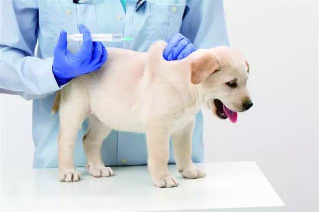 抚养婴儿方法和技巧,抚养婴儿要关注什么