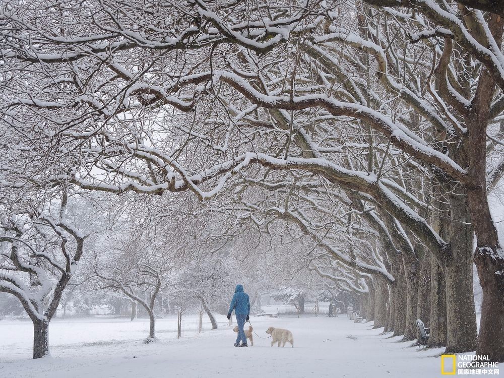 国家地理摄影图片冬天,中国国家地理景观冬季