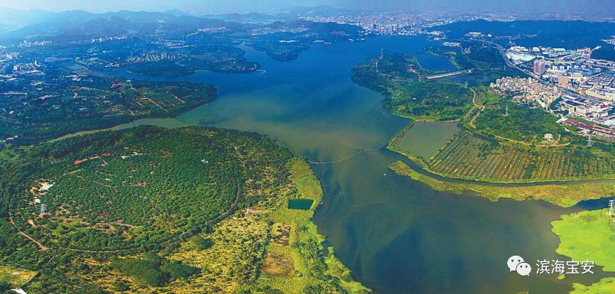 宝安各街道规划,宝安新设街道规划图