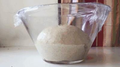 刷完BBC“探班”面包工厂，我好像懂得了红炉磨坊倒下的真正原因