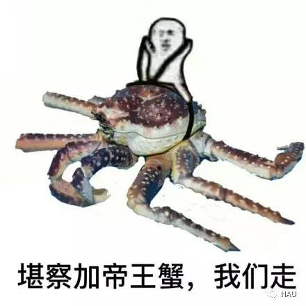 开心周末,周末开心表情包图片