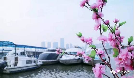 东湖绿道周末人挤人,东湖绿道堵车