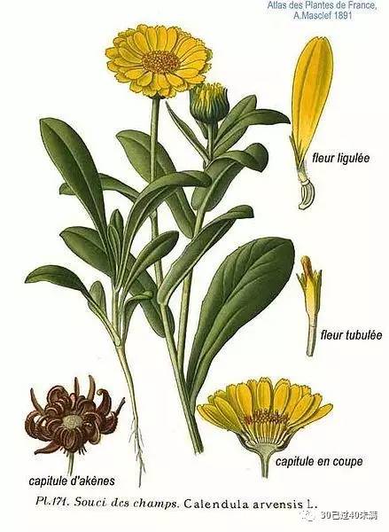 经常磕磕碰碰,经常磕磕碰碰需要佩戴什么