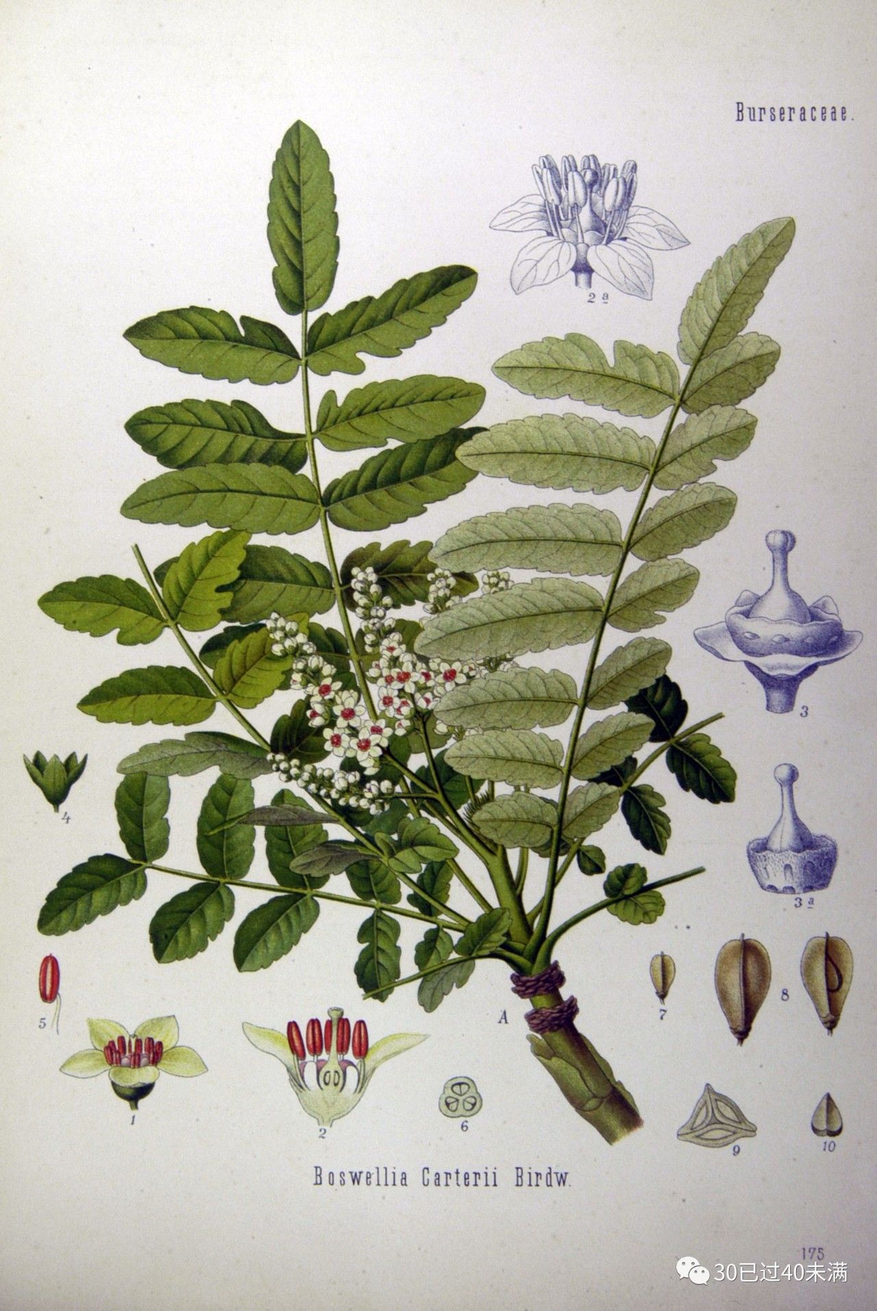 经常磕磕碰碰,经常磕磕碰碰需要佩戴什么