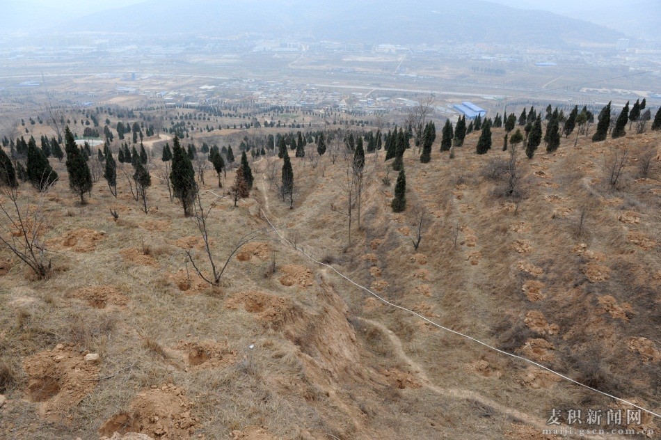 麦积区成纪新城峡口片区规划,甘肃省天水市麦积区城市规划图