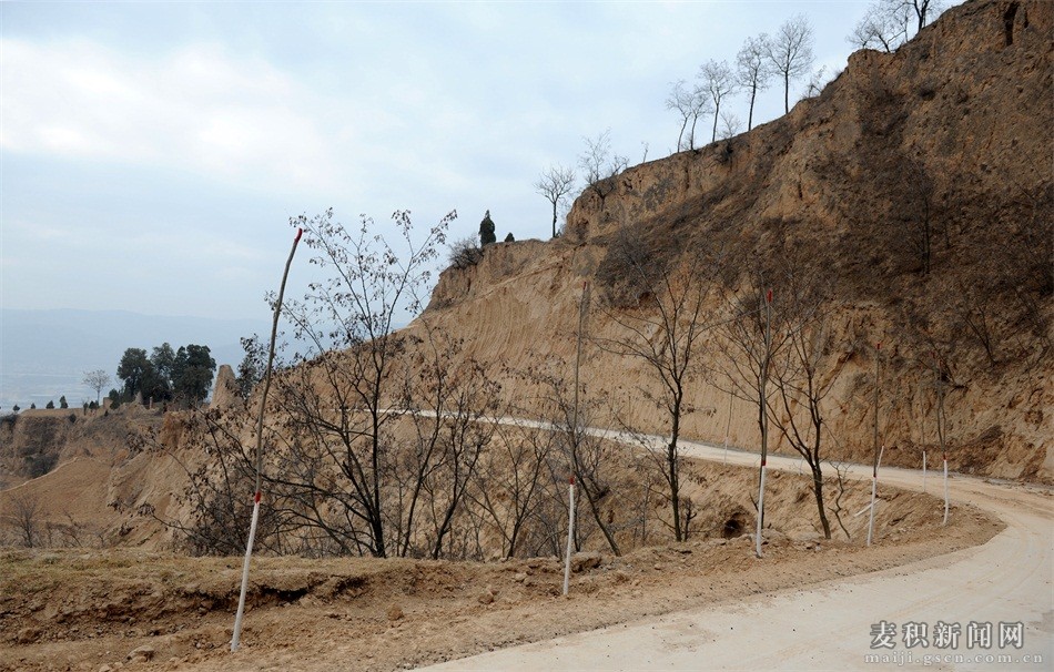 麦积区成纪新城峡口片区规划,甘肃省天水市麦积区城市规划图