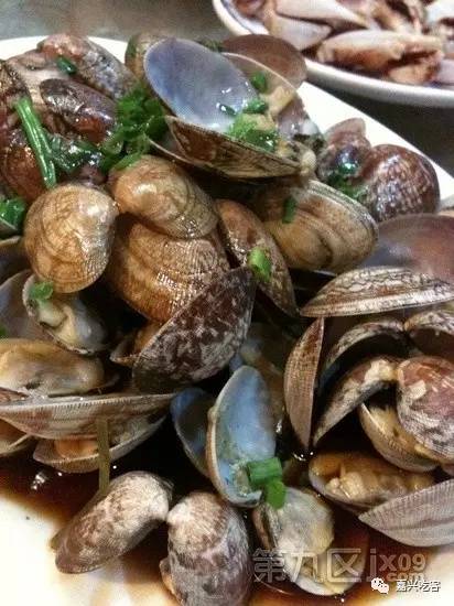 没想到你是这样的28路公车，一圈吃下来已经不是扶车而下这么简单了！（下篇）NO.517