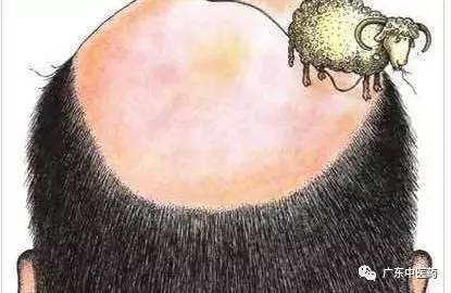 「封面」脱发怎么办？看看国医大师、“皮肤圣手”禤国维怎么说