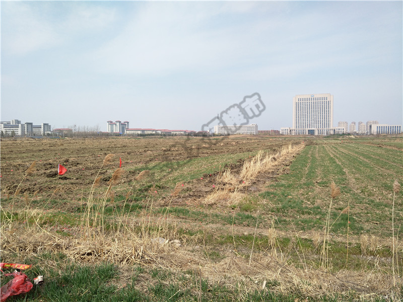 连云港花果山大道新盘,连云港花果山大道最新进展