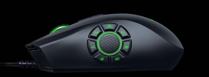 雷蛇八大歧蛇测评,雷蛇和绿蛇