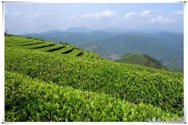 福州特产伴手礼哪里有卖的,福州有哪些可以送礼的干货特产