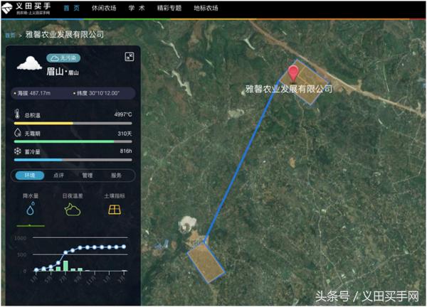 大型丑橘基地,稳坪何家寨丑橘基地