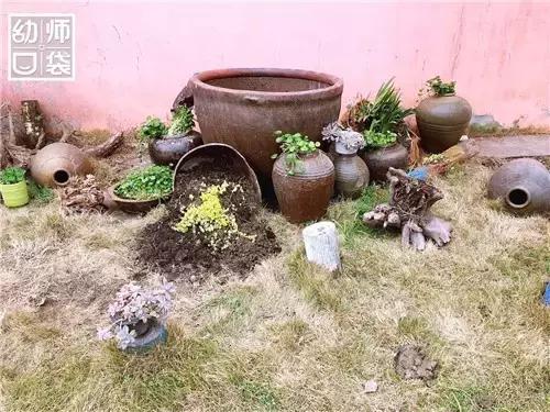 幼儿园如何打造自然区角的环境,复古自然角幼儿园