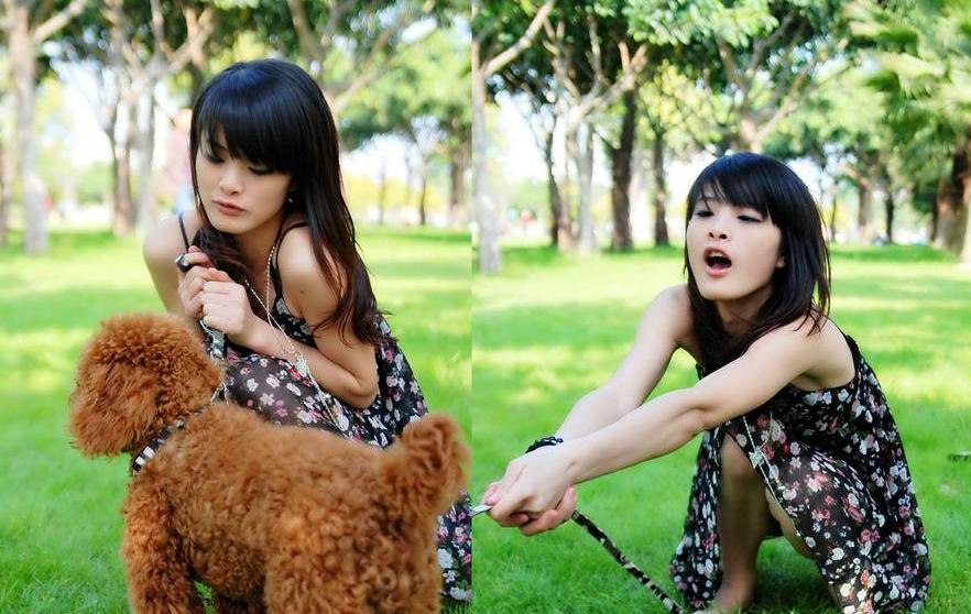 宠物常识大全书,宠物泪痕去除最好的方法