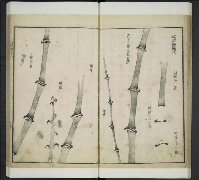 齐白石与芥子园画谱之缘,齐白石画作大全集