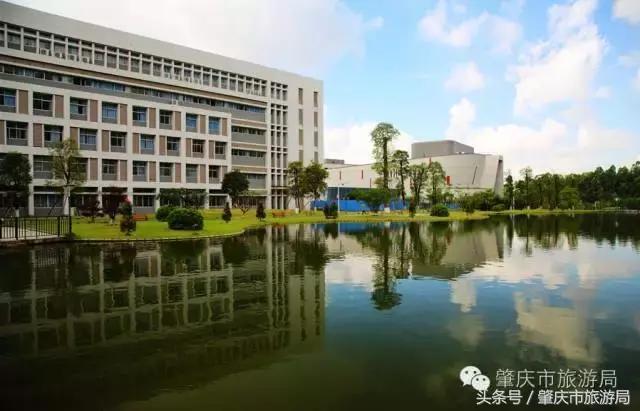 肇庆最好的学院有哪几个,肇庆市最美学校
