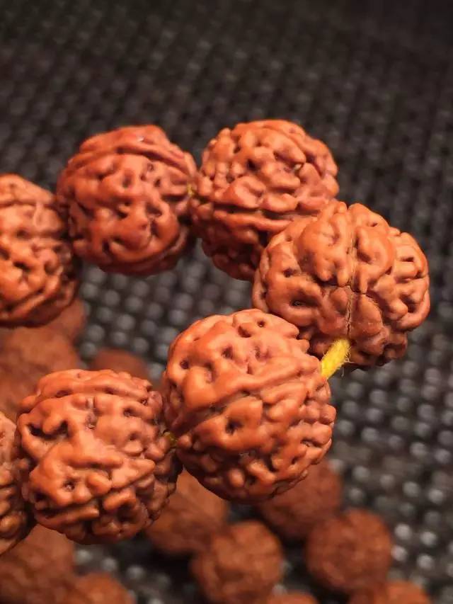 金刚圈子里混三年，这些品种都够呛能认全！