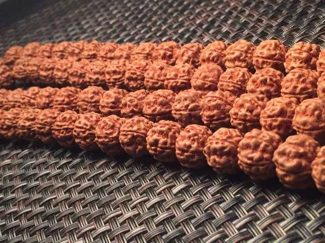 金刚圈子里混三年，这些品种都够呛能认全！