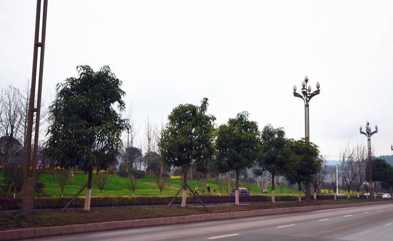 临港为什么那么多公园,宜宾临港公园