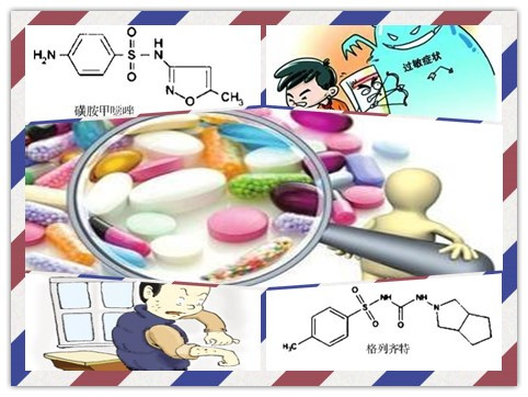 我对A药过敏，为什么B药也不能吃？