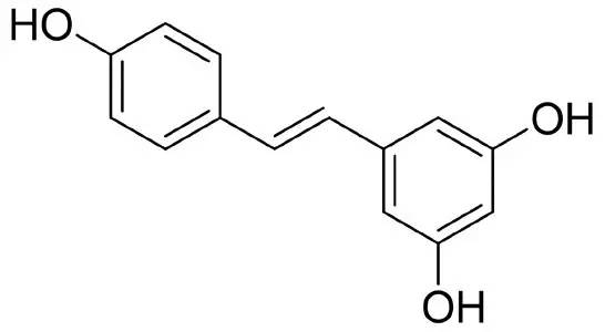 喝酒能缓解老年痴呆！别不信，科学家们说的！