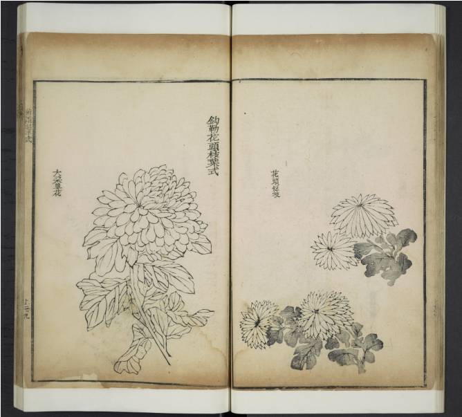 齐白石与芥子园画谱之缘,齐白石画作大全集