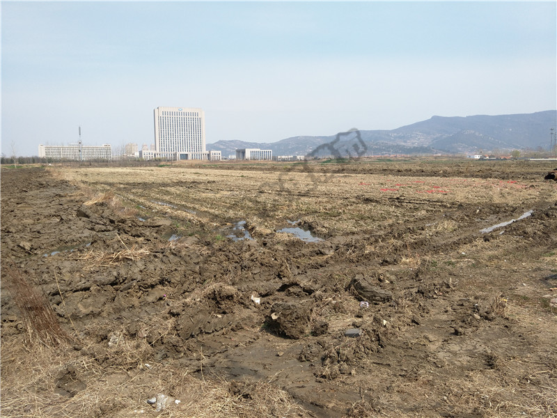 连云港花果山大道新盘,连云港花果山大道最新进展