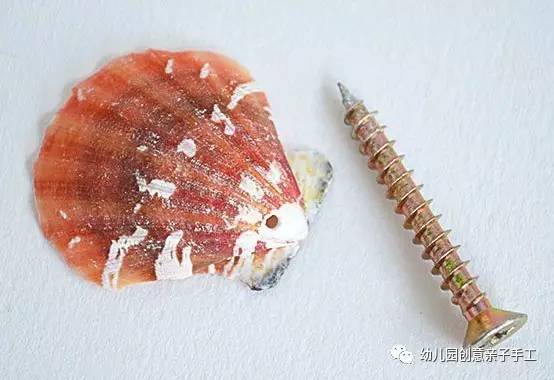 贝壳手工制作大全创意废物利用,贝壳废物利用手工幼儿园