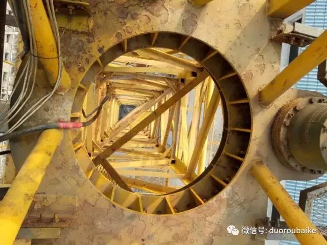 爱上多肉爱上生活,爱上多肉深似海