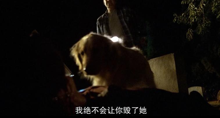 这部电视剧在一些小细节上很用心,这部电影亮点是什么