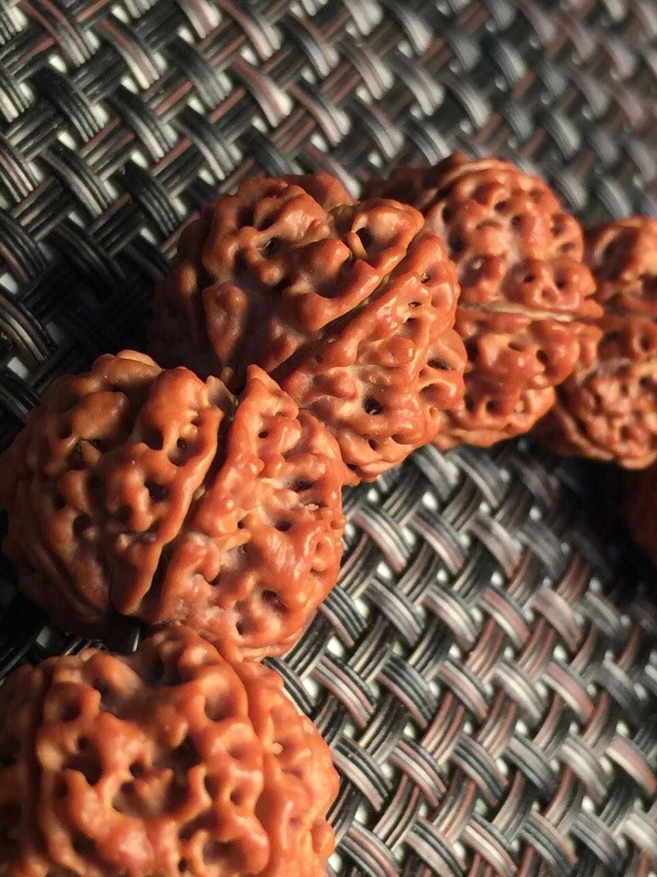 金刚圈子里混三年，这些品种都够呛能认全！