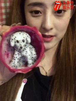 顶配斑点狗,斑点狗推荐吗