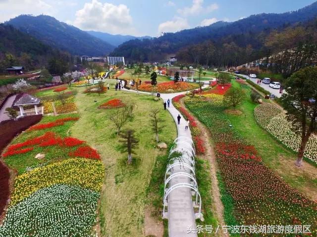 花讯播报泡汤赏花SPA住客房，只在南苑花博园！