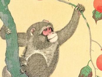 属猴的最佳婚配属相表大全,92年属猴女和94年属狗男婚配好吗