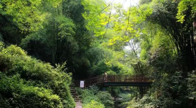 成都春季爬山踏青赏花一日游,成都周边踏青二日游自驾游
